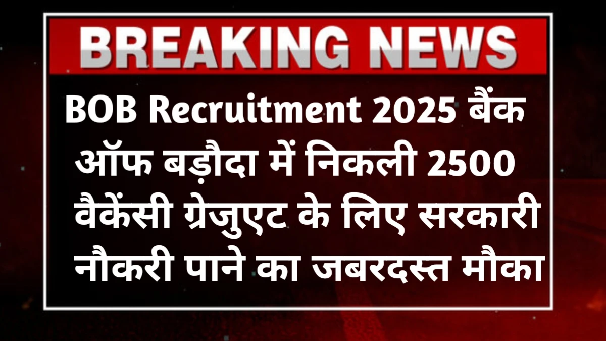 BOB Vacancy 2025 Apply Online