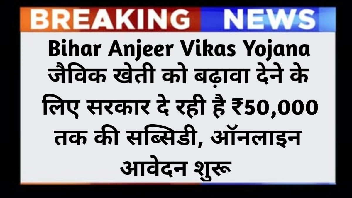 Bihar Anjeer Vikas Yojana 2025